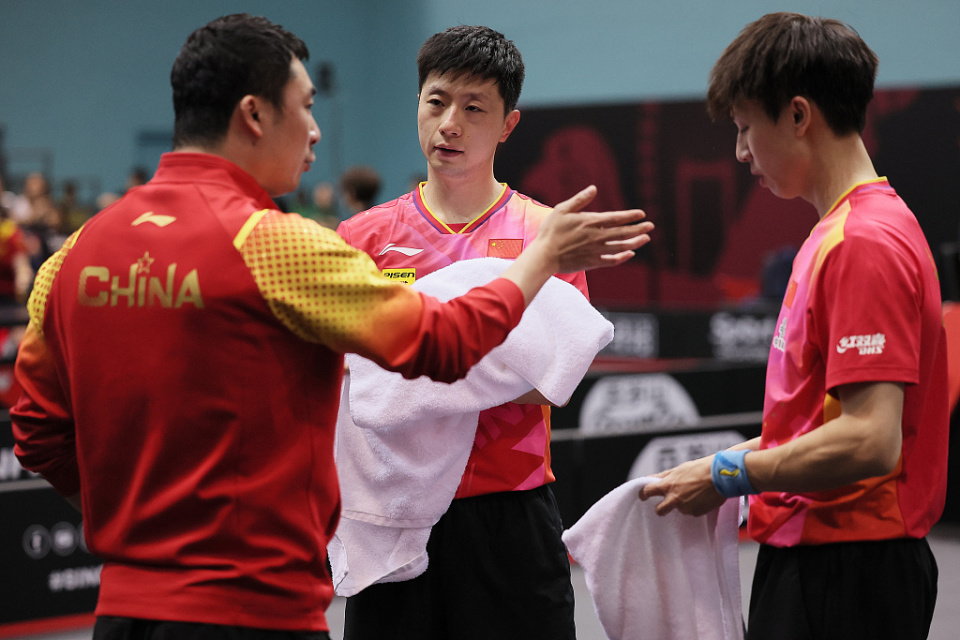 德国乒乓球队绝地反击奥地利乒乓球队，马龙关键制胜的简单介绍