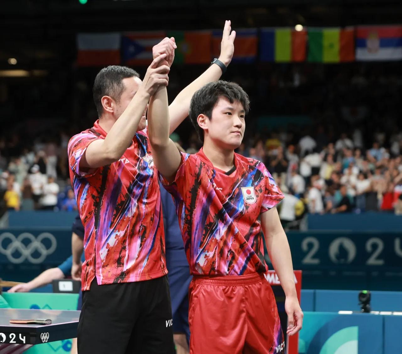 包含波兰队完胜法国队，张本智和扛起全队的词条